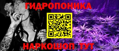 каннабис Будённовск
