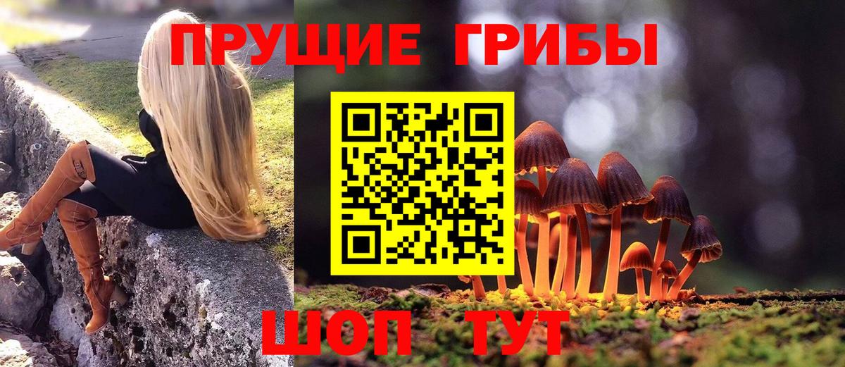 Ливны  Галлюциногенные грибы мухоморы  Псилоцибиновые грибы Magic Shrooms  Вход с VPN 